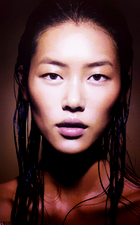 Liu Wen 883075L13