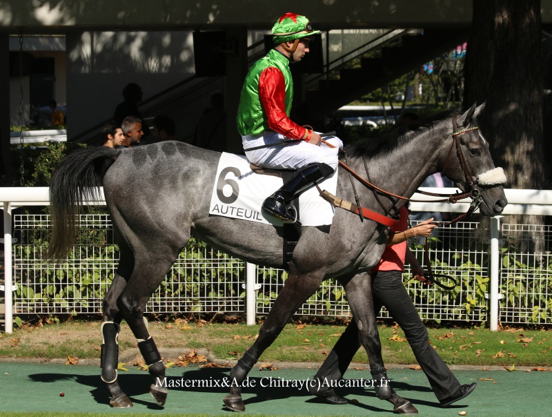 Photos Auteuil 24-09-2016 8832905J6A6825