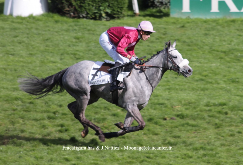 Photos Auteuil 17-04-2016 - Page 2 884380IMG0431