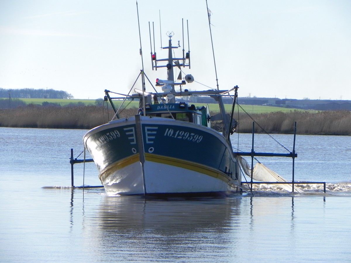 [VIE DES PORTS] Quelques bateaux de pêche (sur nos côtes Françaises) - Page 20 890888BateaupechesurCharente9