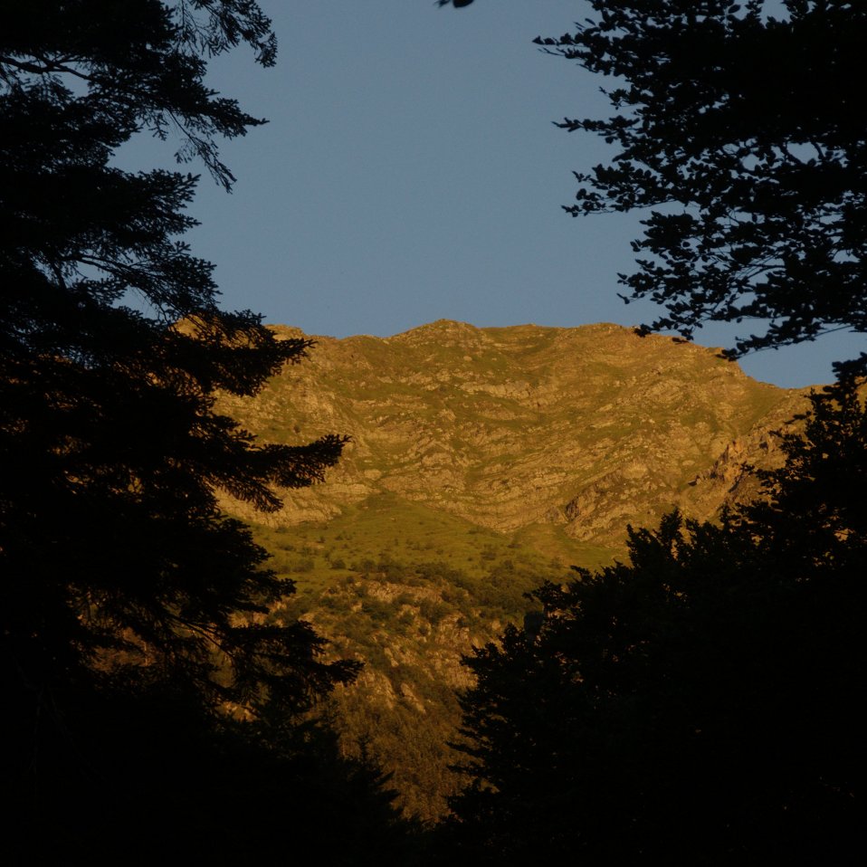 Une vie pyrénéenne de labrit des pyrénées - Page 14 893046ses0104