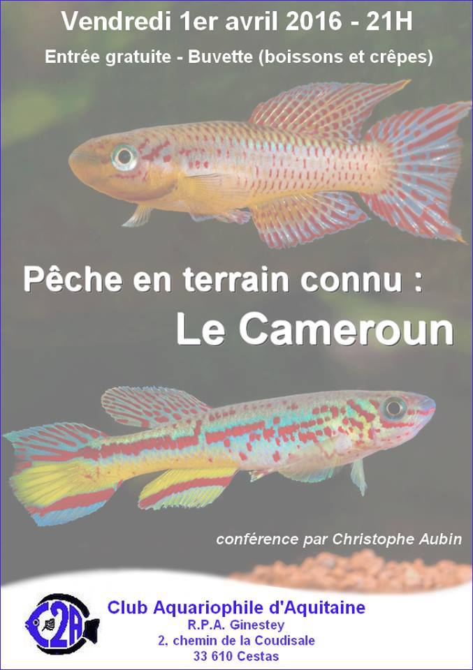 Conférence pêche Cameroun C2A 895868conf