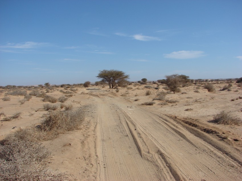 Le Grand Sud du Maroc - II 901961055