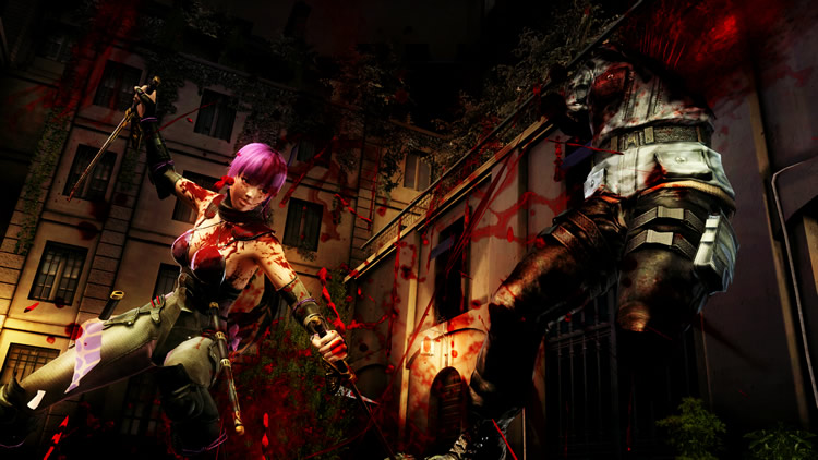 Toutes les images de Ninja Gaiden III : Razor's Edge 9043795645