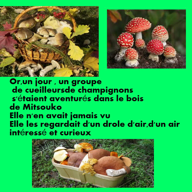 Le Cromimi-Nut n°39 908814bloggif59dbd6515228e