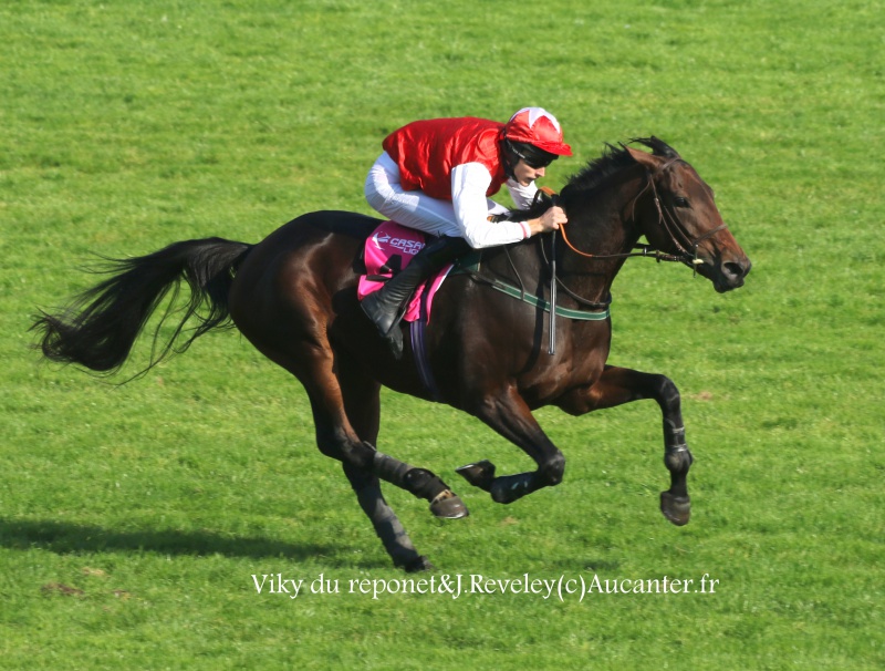 Photos Auteuil 9-10-2016 9182765J6A7803