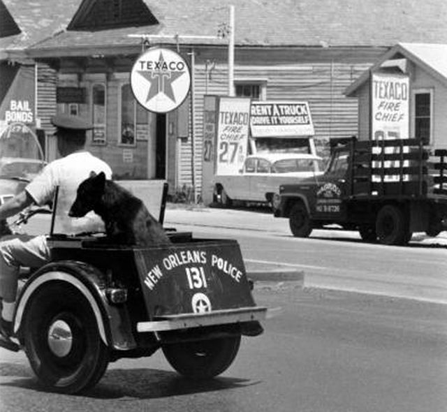 scrap - Les années 20 à 70 : photos et vidéos d'époque (partie 2) - Page 8 9184131961