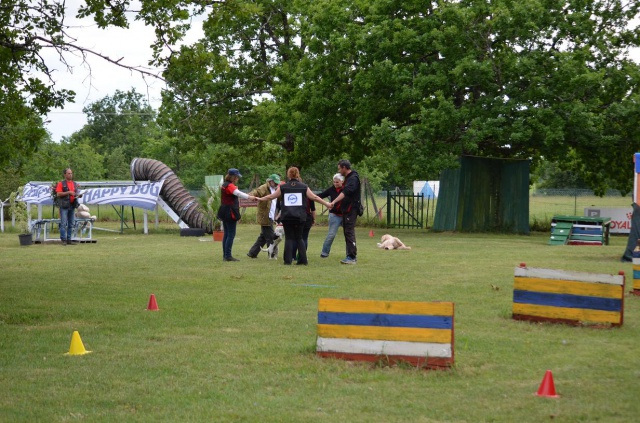 Concours d'Obéjump 924272DSC0025rduite