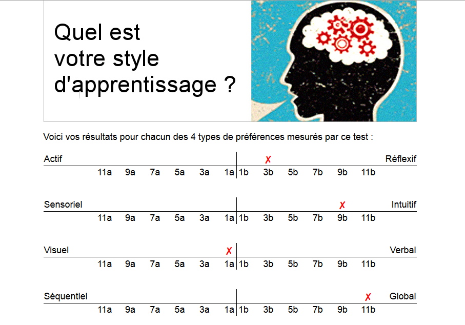 Quel est votre style d'apprentissage ? 924973mlkj