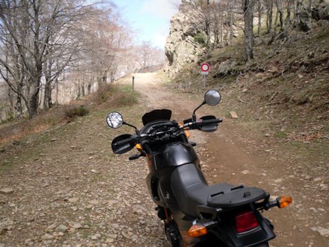 TT dans les Albères (PO) 928632SDC14360