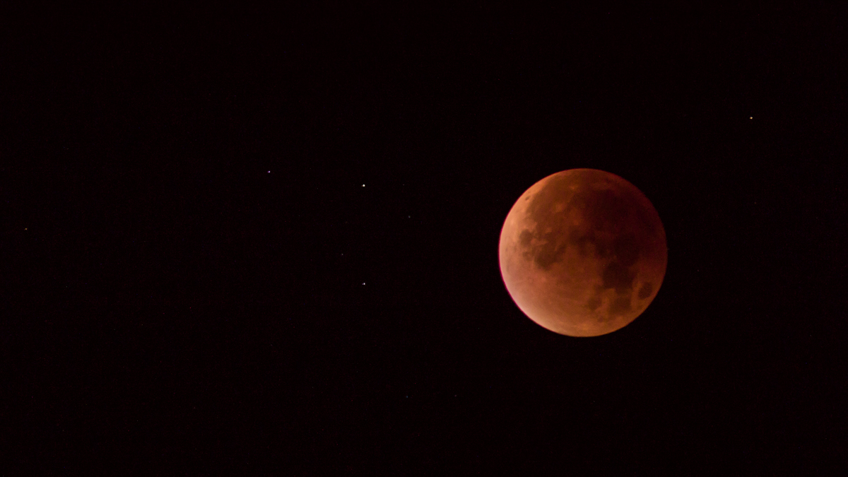 Eclipse de Lune à son Périgée - nuit du 27 au 28 sept. - Page 2 929988LR5P1170940