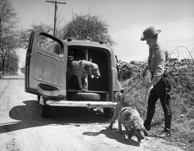 Les années 20 à 70 : photos et vidéos d'époque (partie 2) - Page 8 932777f0ac4039a4453d57landing