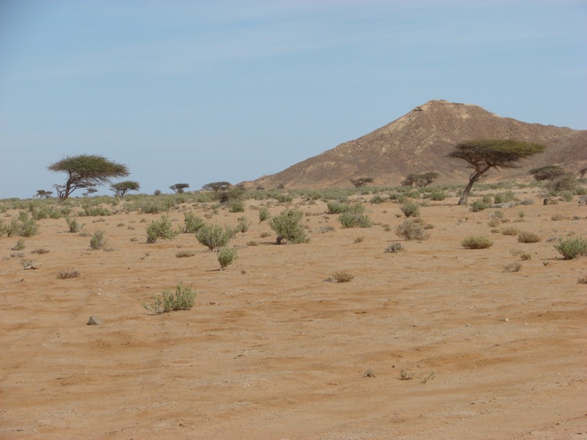 Le Grand Sud du Maroc - II 933887051