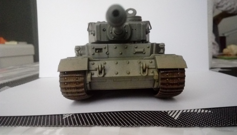 Sd.Kfz.181 Panzerkampfwagen VI (P) Dragon 1/35ième - Page 2 936481IMAG3028