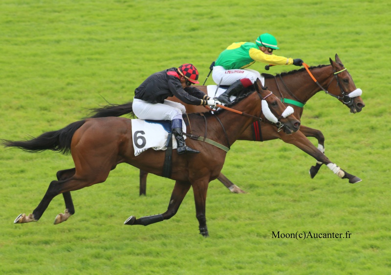 Photos Auteuil 23&27 juin 2016 - Page 2 9369985J6A4360