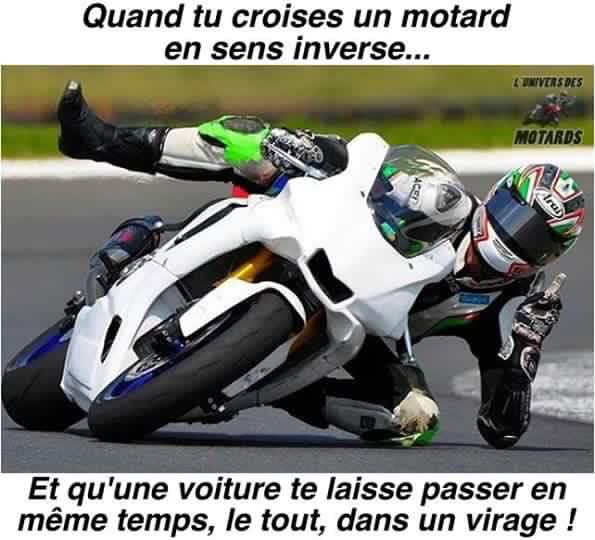 Humour en image du Forum Passion-Harley  ... - Page 13 9403161371603410210145146411542240815235467154014n