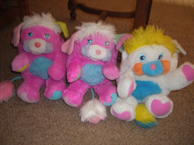  [POPPLES]   ma grande famille de popples - Page 3 942531IMGP2244