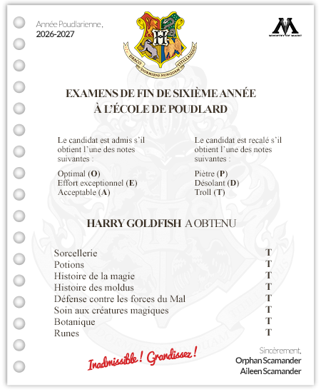 [EXAMENS #1] Résultats des examens de l'année 2026/2027 944942Examselevebourre