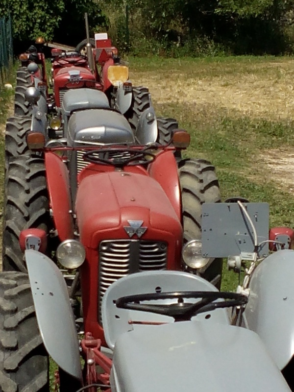 la Fête de l'Agriculture à St THEODORIT  20 et 21 Juin 2015 946358IMG20150621131248