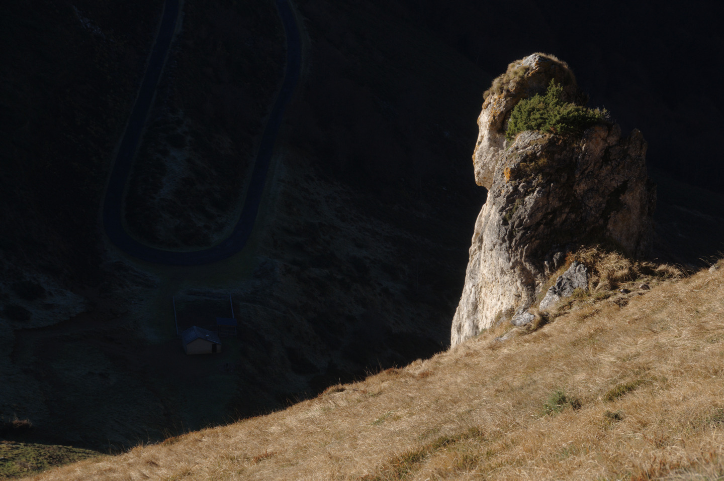 Une vie pyrénéenne de labrit des pyrénées - Page 16 947003gra0775