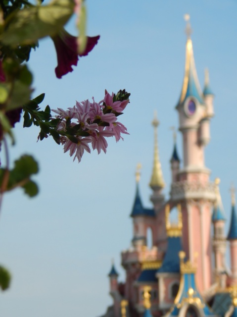 concours photo "le chateau de disneyland paris" 951625photo3