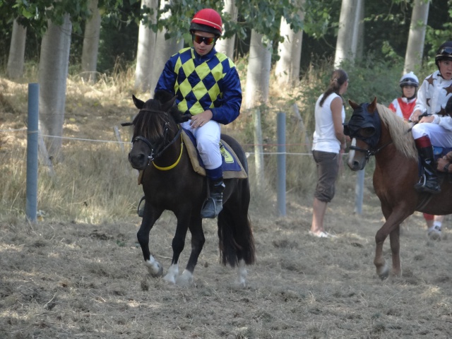 courses de poneys en bretagne 953110DSC00762