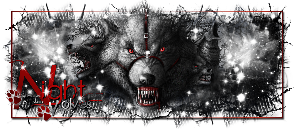 Alliance Night Wolves de Gamma 953651Header2NIGHT