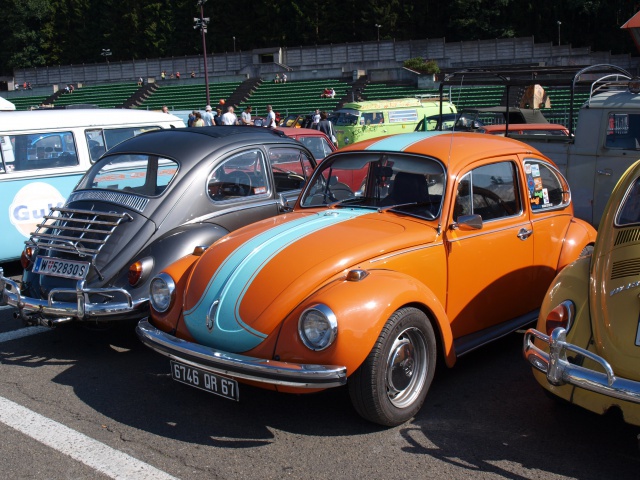 BUG SHOW 2012 954337P8115596