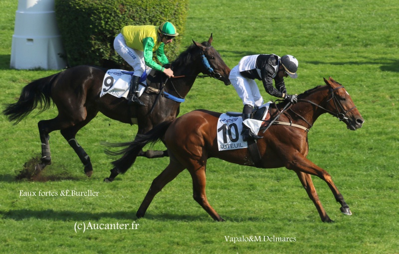 Photos Auteuil 9-10-2016 9600215J6A7810