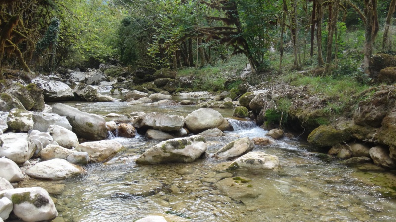 Une dernière fois en Drôme!!!! 961160DSC05358