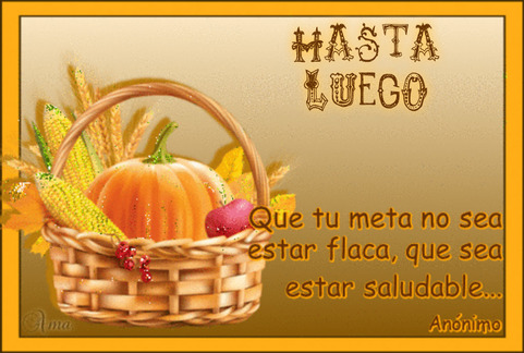 Canasta Saludable con Frase 961449HASTALUEGO