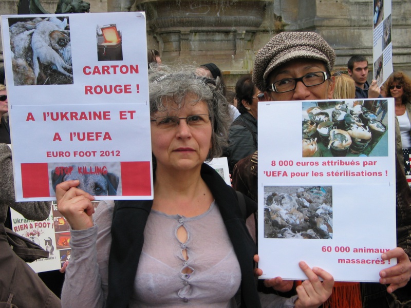 11 - Manifestation contre le massacre des animaux en Ukraine - 9 juin 2012 966262IMG9122