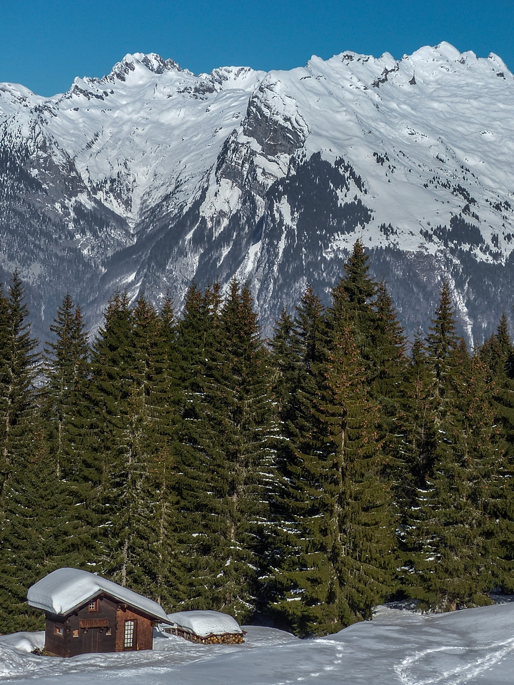 Canada ... Genépi !!! 968148P125099812