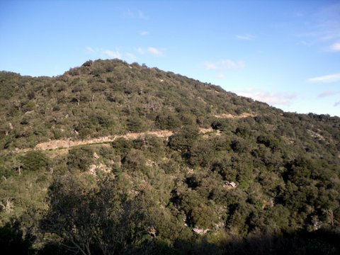 Promenade dans les Albères 971600SDC16275