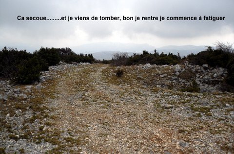 La traversée des Corbières et une gamelle 971770SDC14332