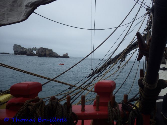 L'Hermione, une aventure. 973130IMGP4929