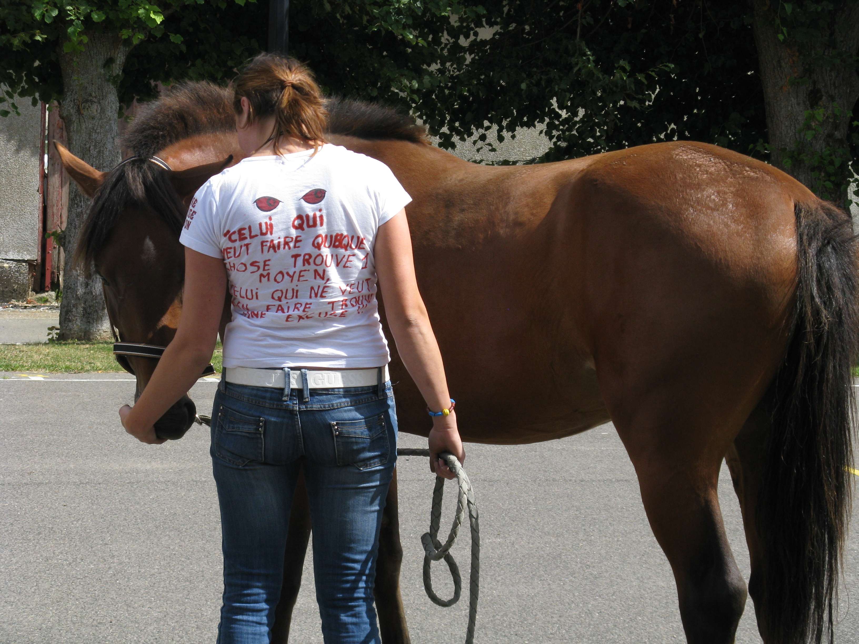 Valorous de l'Espoir adopté chez Amandine ! - Page 6 974555216