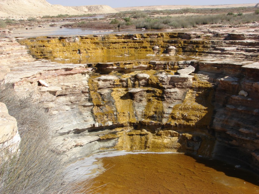 Le Grand Sud du Maroc - II 975210020