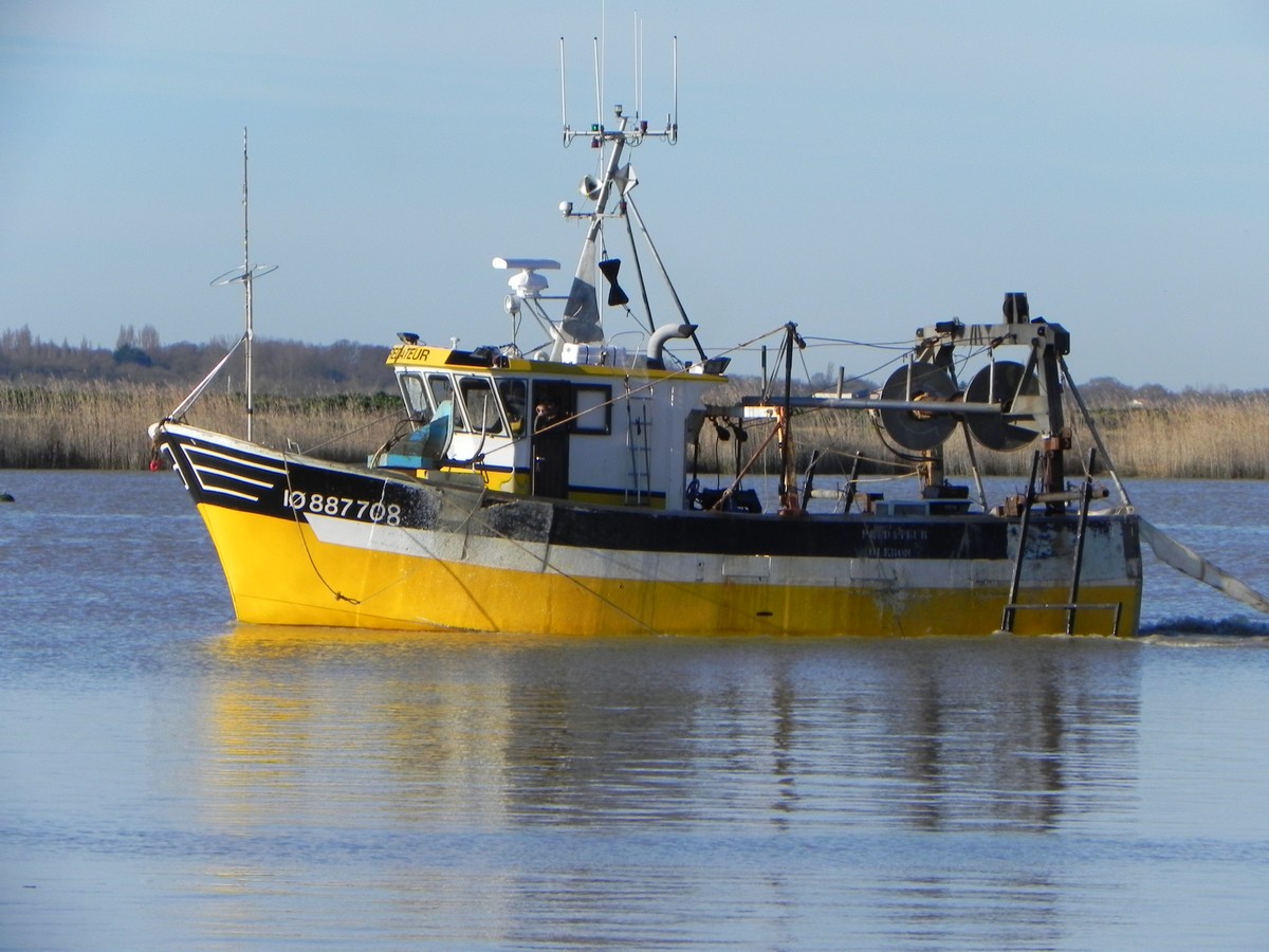 [VIE DES PORTS] Quelques bateaux de pêche (sur nos côtes Françaises) - Page 20 978871BateaupechesurCharente13