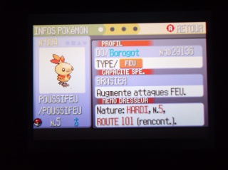 Mes Pokémon nétoilés à moi qui m'appartiennent ! 979896DSCF0426