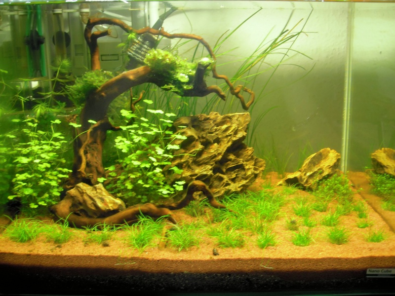 Mon Scaper's Tank 50L Aquascaping 980762P2200075