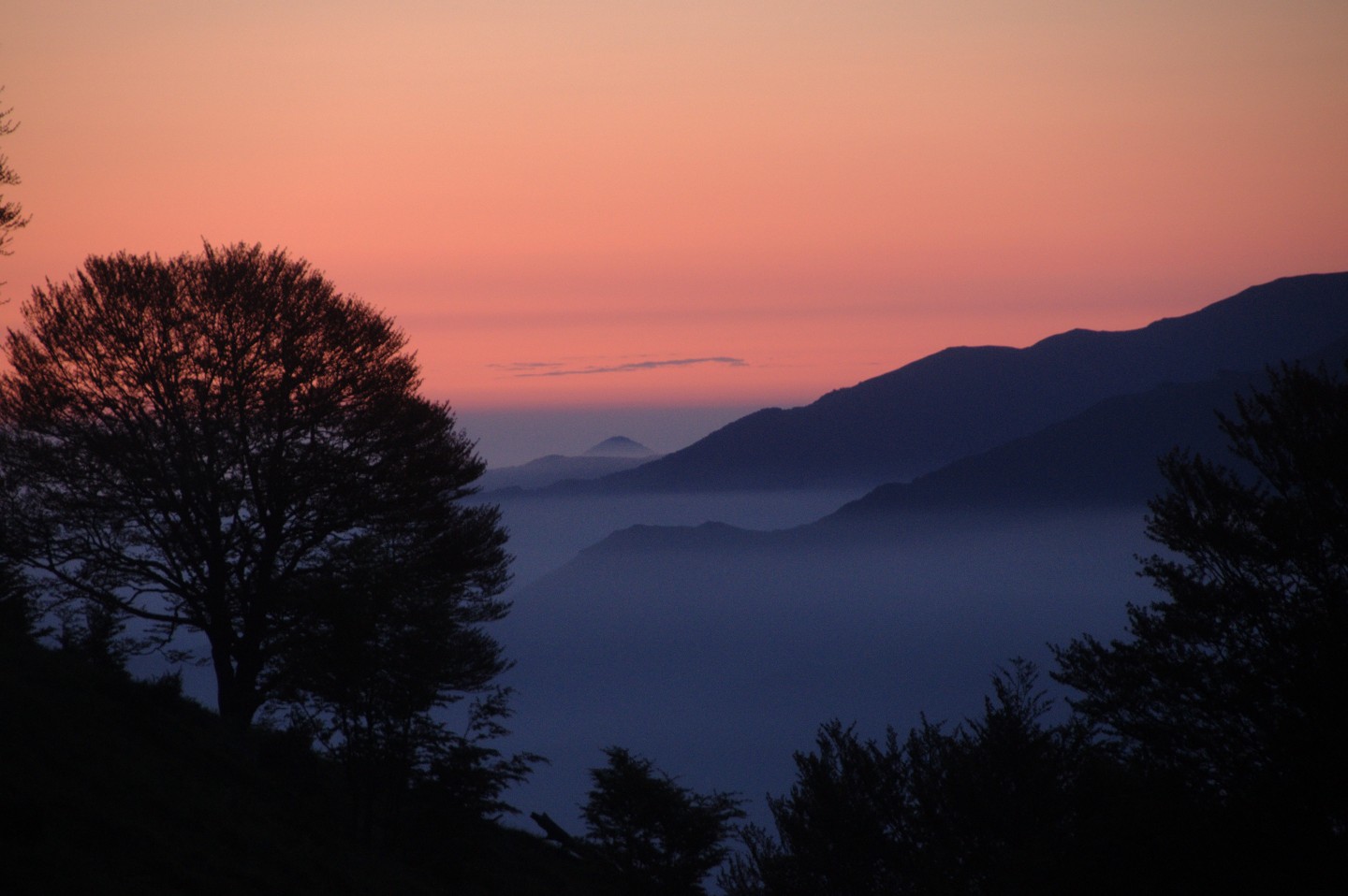 Une vie pyrénéenne de labrit des pyrénées - Page 20 98435250granquet301