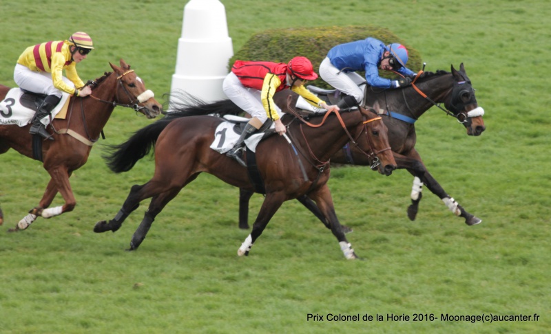 Photos Auteuil 27-03-2016 991184IMG8867