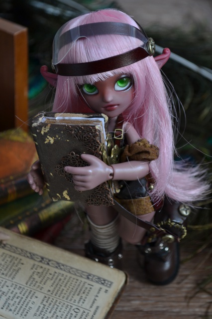 Fairytales Treasures Dolls par Nekochaton et Kaominy - Page 3 993248DSC2292