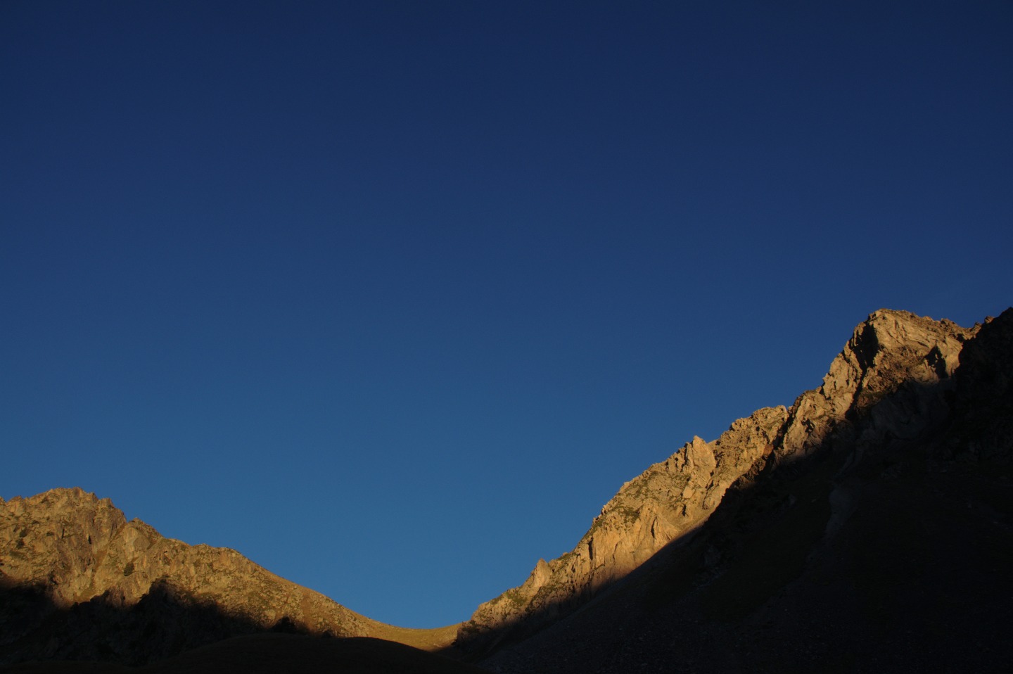 Une vie pyrénéenne de labrit des pyrénées - Page 15 994343cra0407