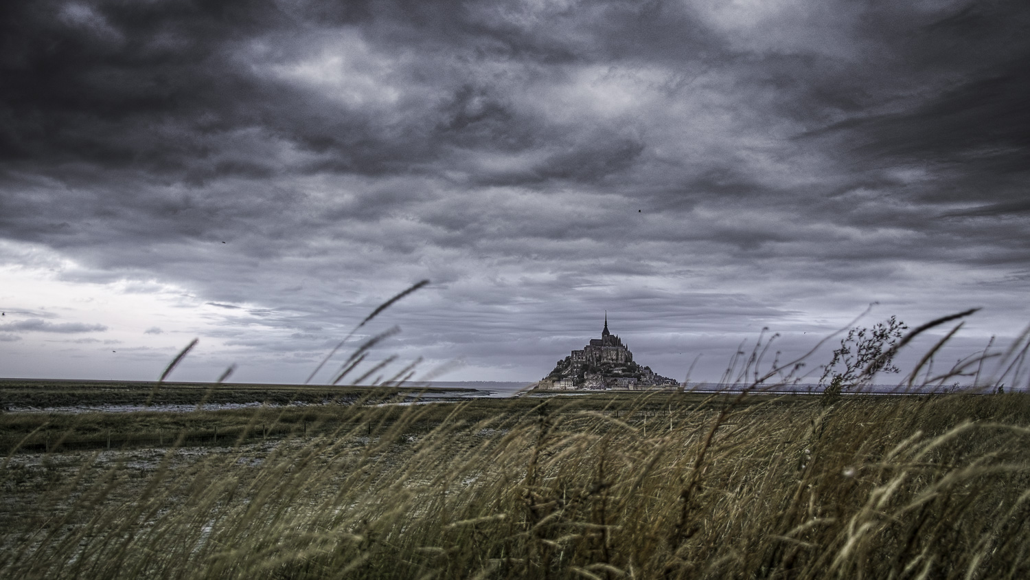 Le Mont St Michel 994819DP1M4293