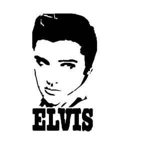 Diffrents modles Mini_133720elvis