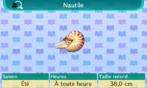 [GUIDE] Les créatures marines. Mini_224781Nautile