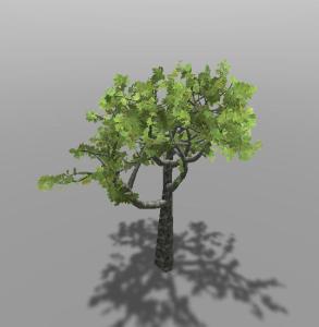 Tree[d] - logiciel de modélisation d'arbre Mini_283919ScreenShot031