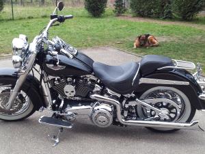 Combien de Softail sur le forum Passion-Harley - Page 9 Mini_437528mondeluxe2